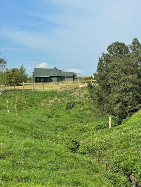 Holly Tree Glamping Cabins